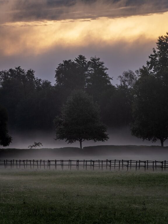Beginner Tips for Mindful Breathing Breaks to Boost Your Day